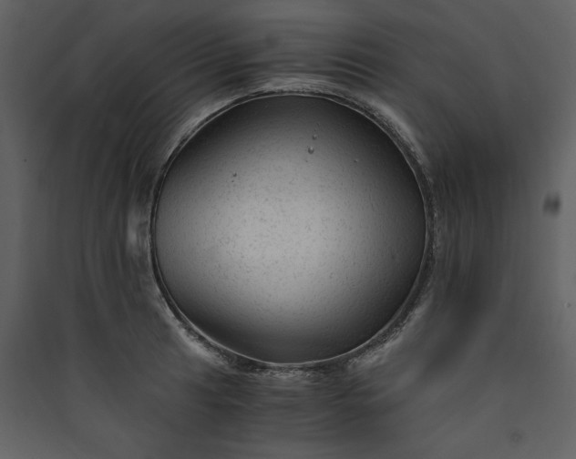 X0000089951041200707131511
