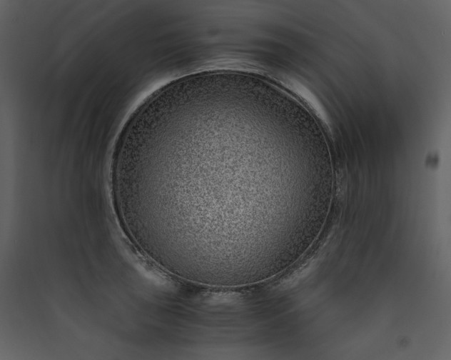X0000089951043200707131511