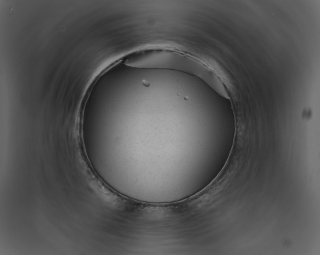 X0000089951044200707131511