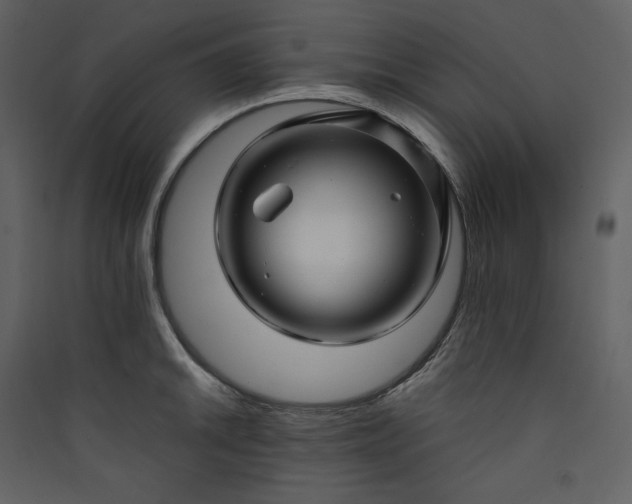 X0000089951046200707131511