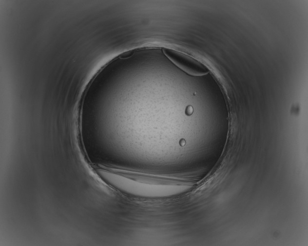 X0000089951048200707131511