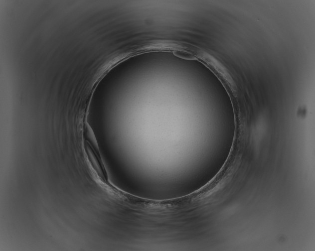 X0000089951049200707131511
