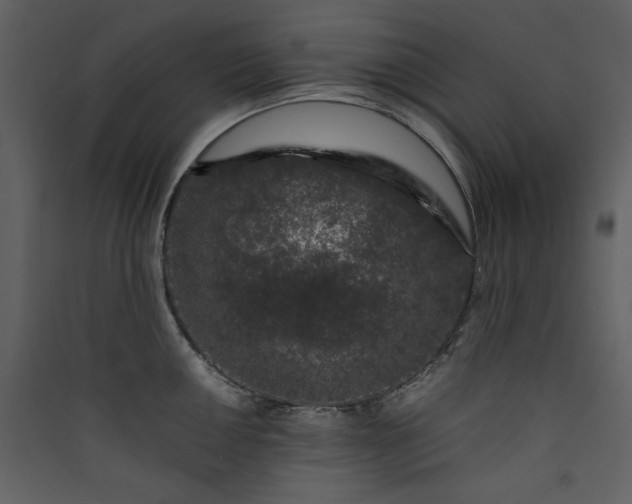 X0000089951050200707131511