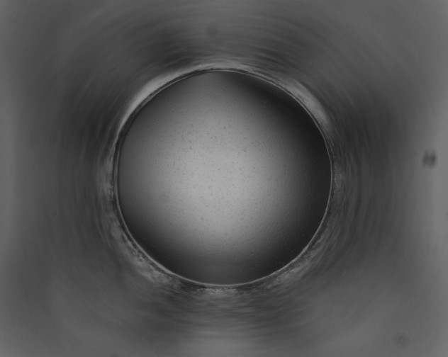 X0000089951052200707131511