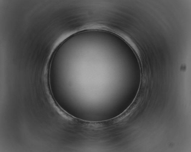 X0000089951053200707131511