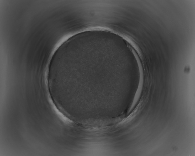X0000089951054200707131512