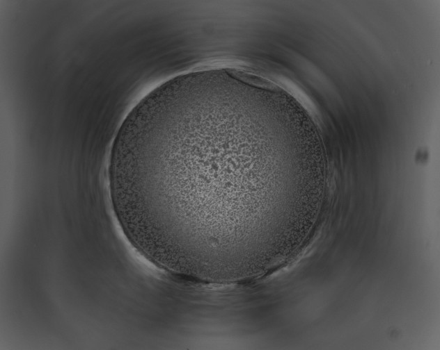 X0000089951055200707131512
