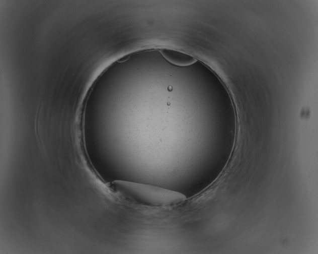 X0000089951056200707131512