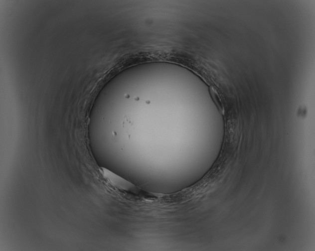 X0000089951057200707131511