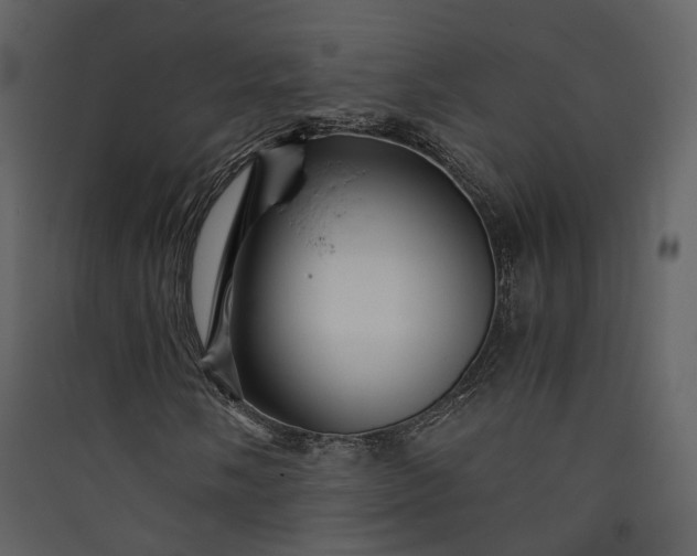 X0000089951058200707131511
