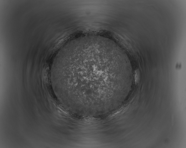 X0000089951059200707131511