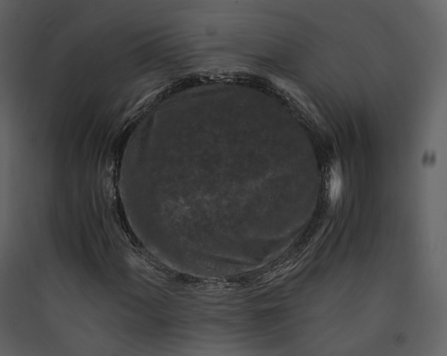 X0000089951060200707131511