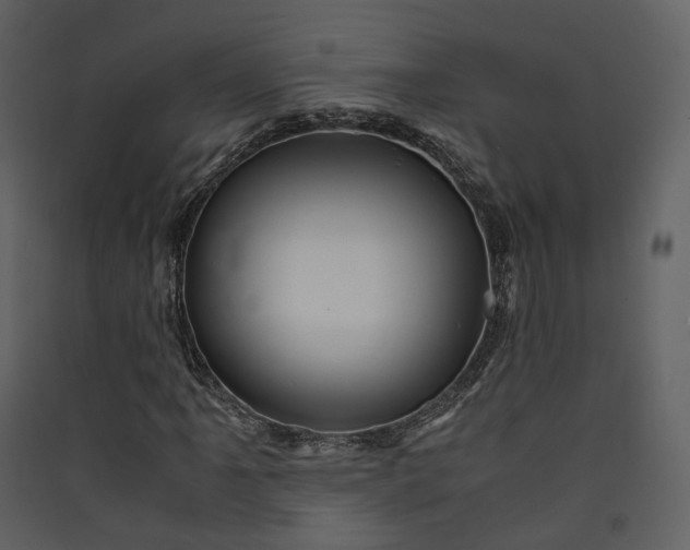 X0000089951061200707131511