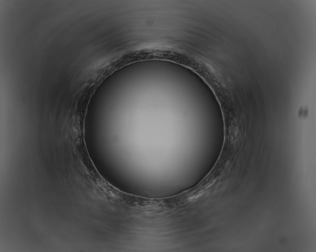X0000089951062200707131511