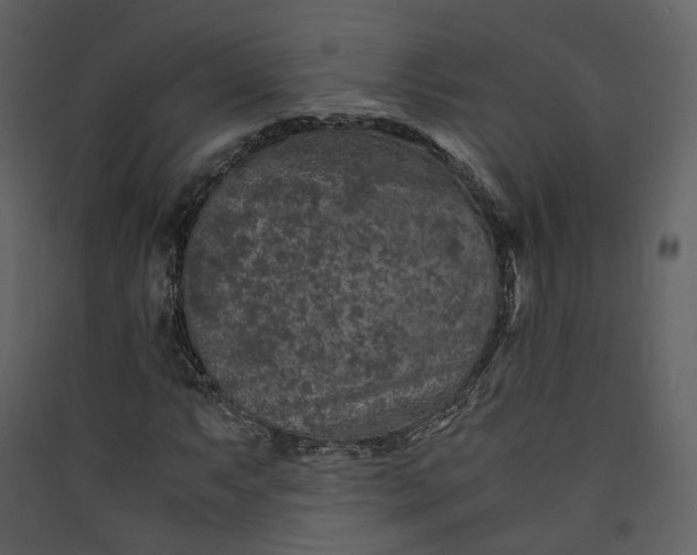 X0000089951063200707131511