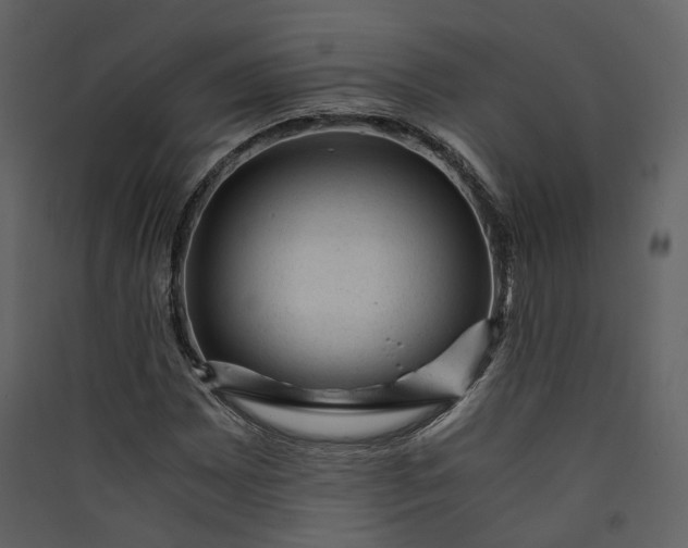X0000089951065200707131511