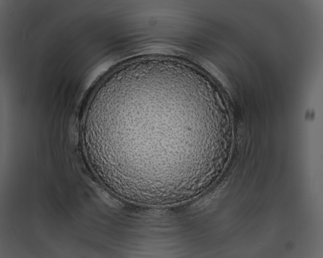 X0000089951067200707131511