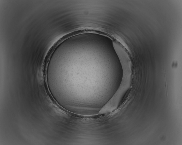 X0000089951068200707131511