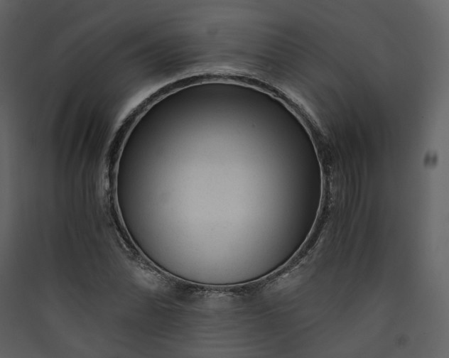 X0000089951070200707131511