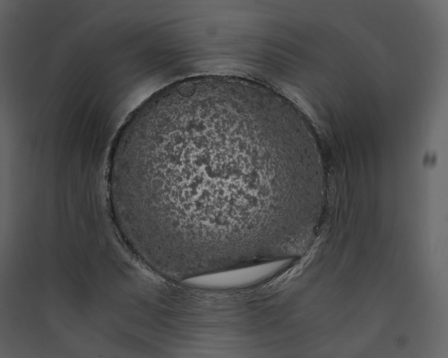 X0000089951071200707131511
