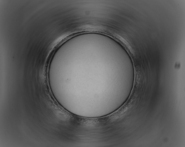 X0000089951074200707131511