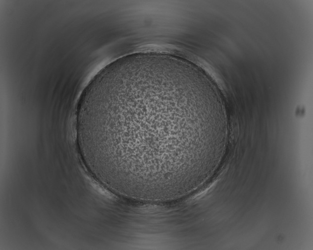 X0000089951075200707131511