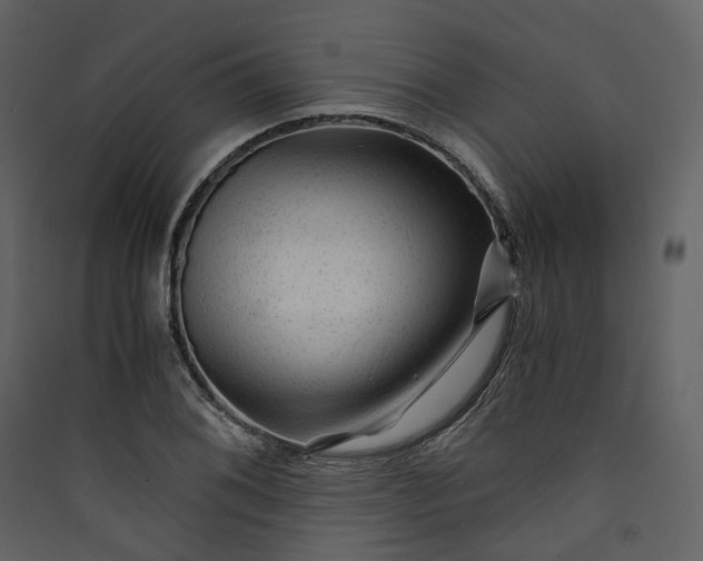 X0000089951076200707131511