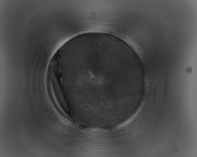 X0000089951077200707131511