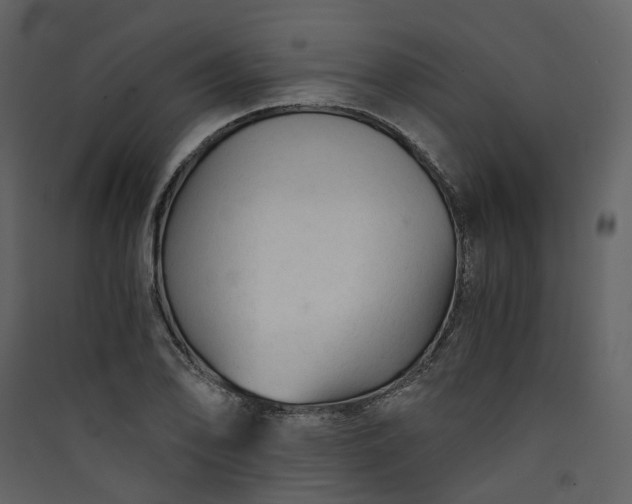 X0000089951078200707131511