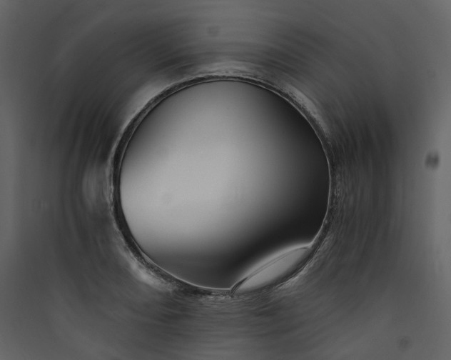 X0000089951082200707131511
