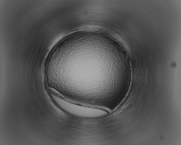 X0000089951083200707131511