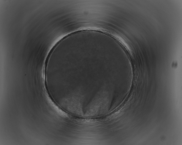 X0000089951084200707131511