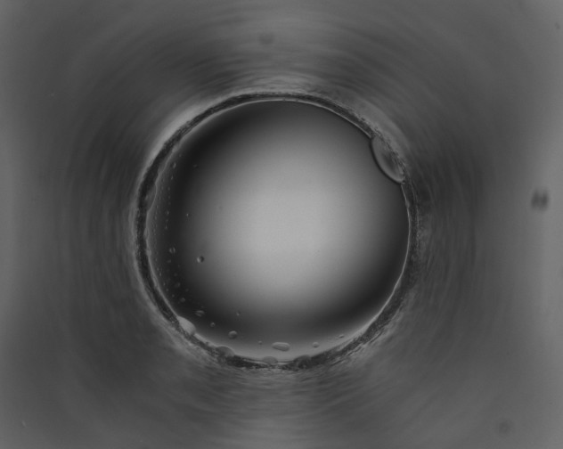 X0000089951085200707131511