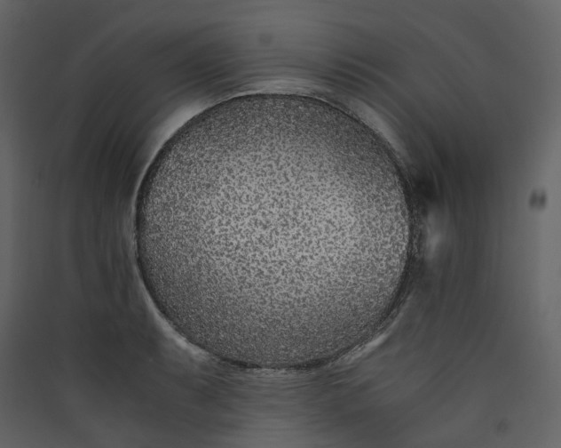 X0000089951087200707131511