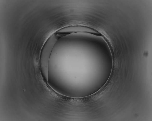 X0000089951089200707131511