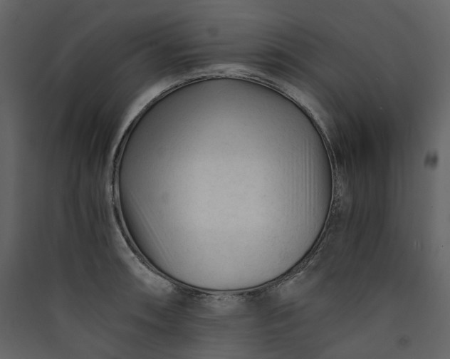X0000089951090200707131511