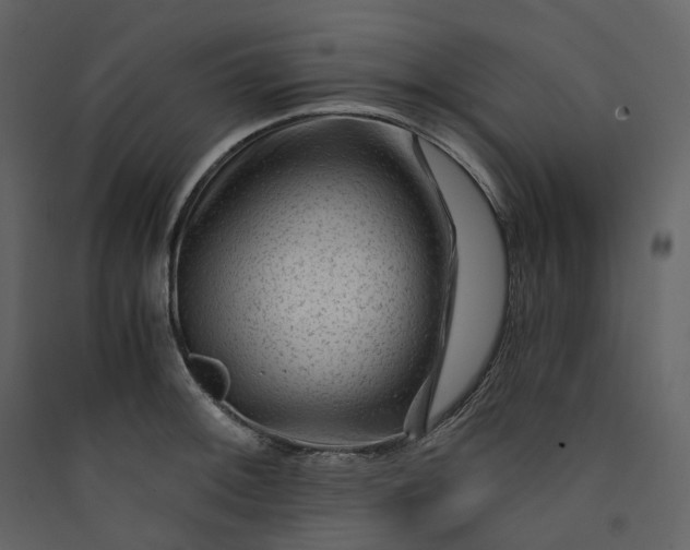 X0000089951092200707131510