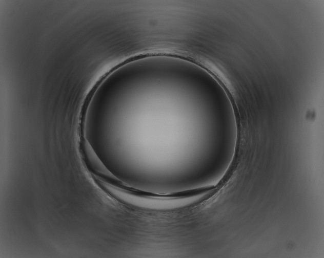 X0000089951093200707131510