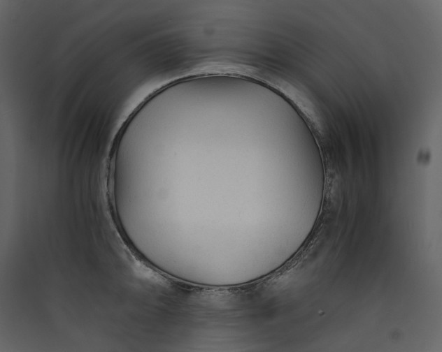 X0000089951094200707131510