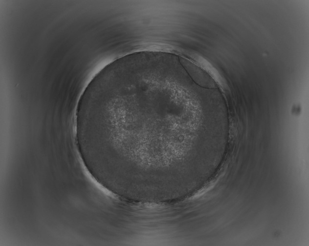 X0000089951095200707131510