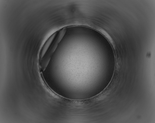 X0000089951096200707131510