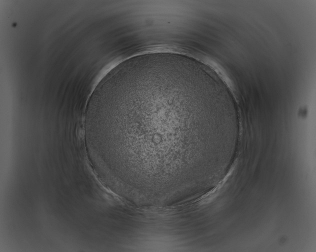 X0000089951097200707131510