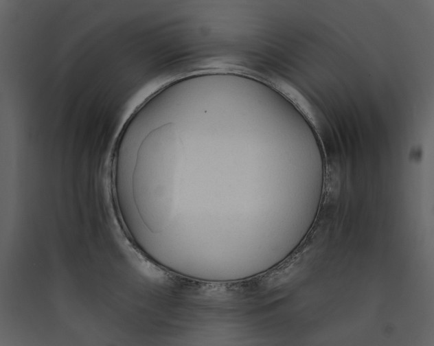 X0000089951098200707131510