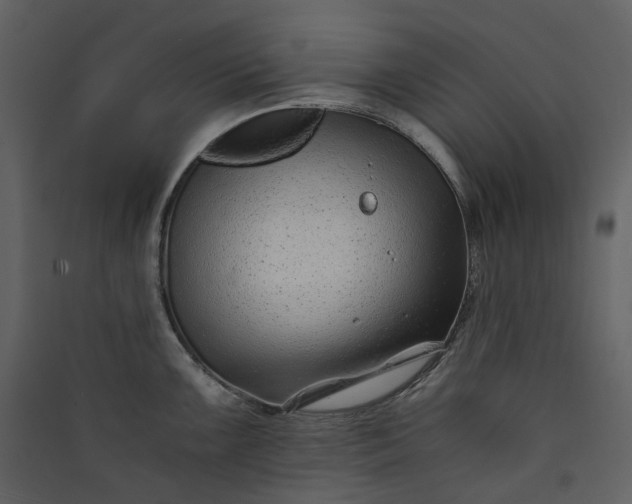 X0000089951099200707131510