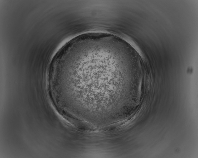 X0000089951101200707131510