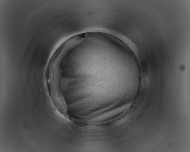 X0000089951102200707131510