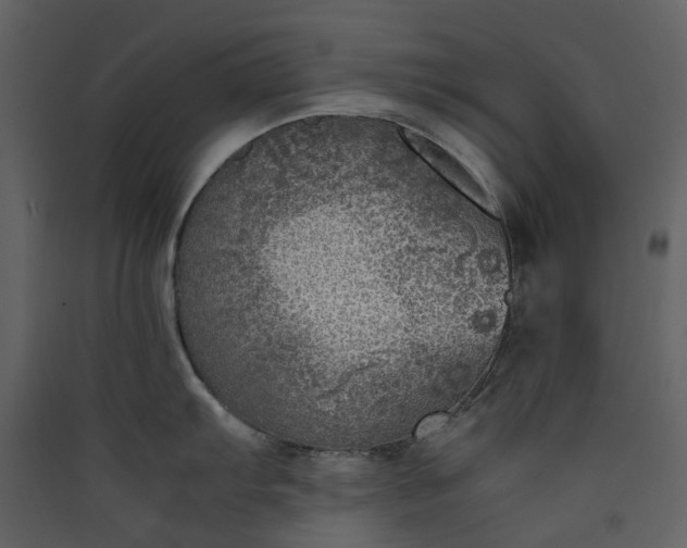 X0000089951103200707131510