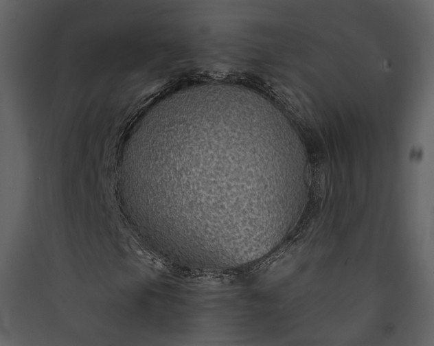 X0000089951105200707131510