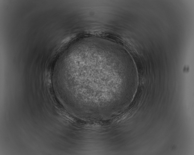 X0000089951106200707131510