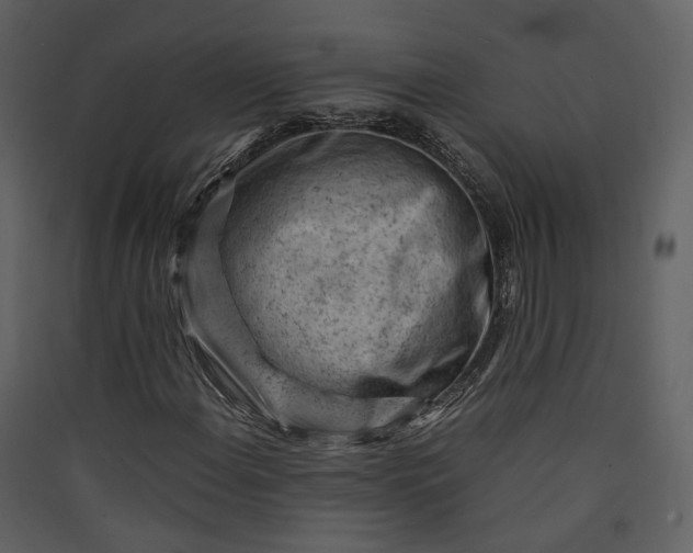 X0000089951108200707131510